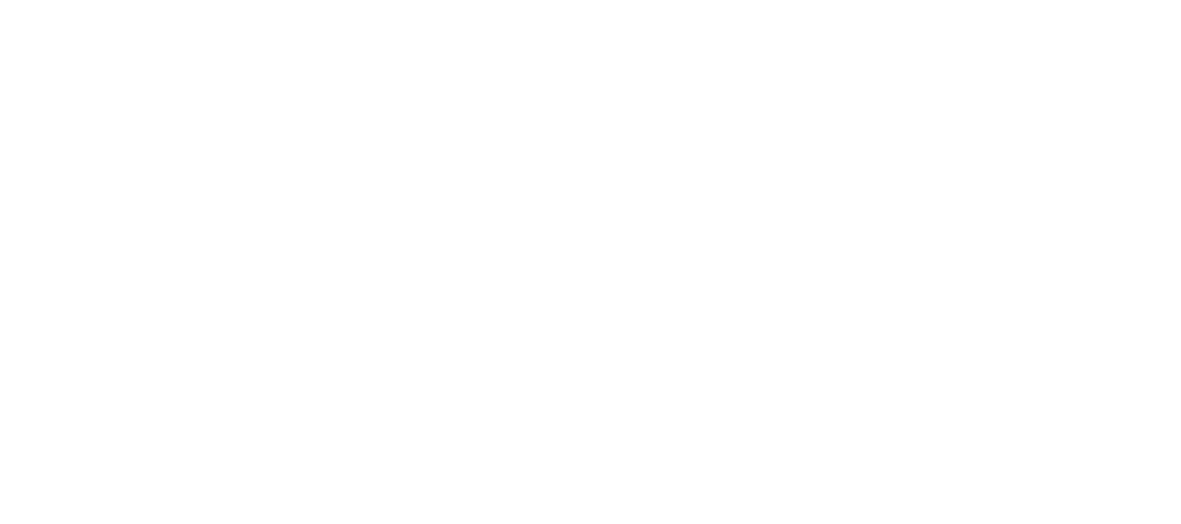 Your sky jets Broker,auto-calculated charter prices,empty legs,end client offer Broker