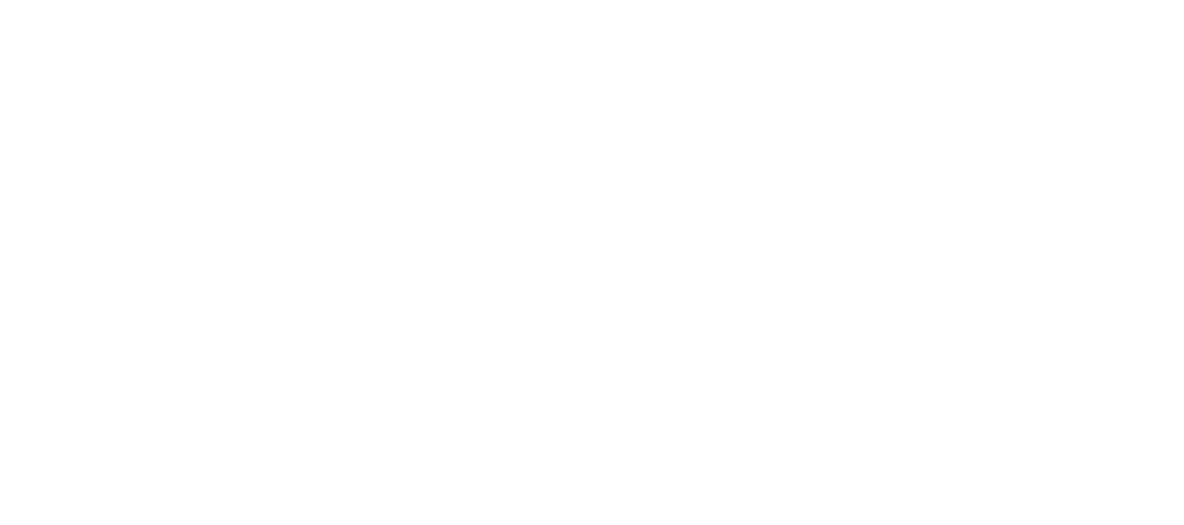 Eurolink weis operator,quotes,bookings,VOO Operator