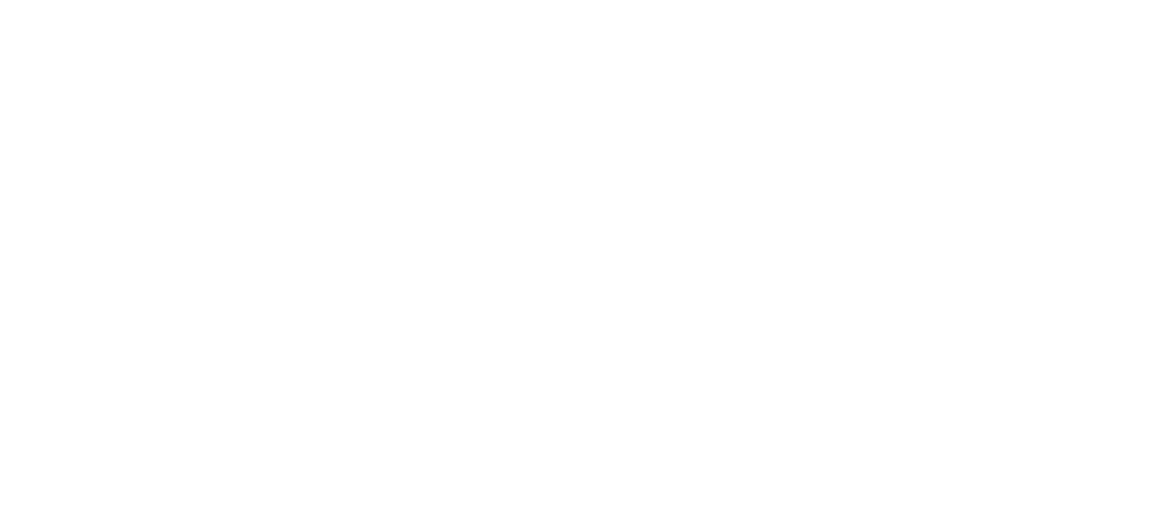 Silesia Air weis operator,quotes,bookings,VOO Operator